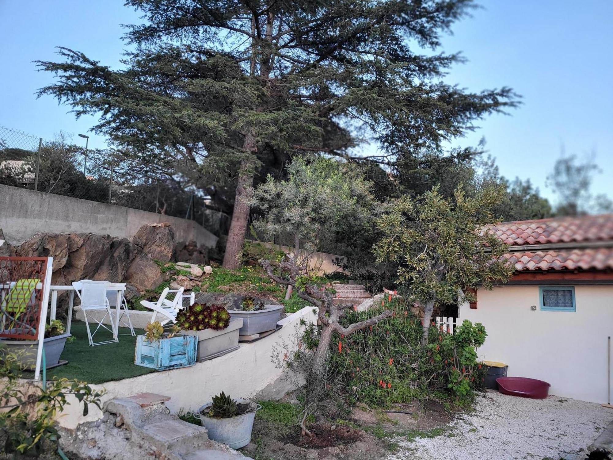 Maison 4 Face A La Grand Jardin Ideal Famille Avec Pluri Animaux Saint Clair * Le Lavandou