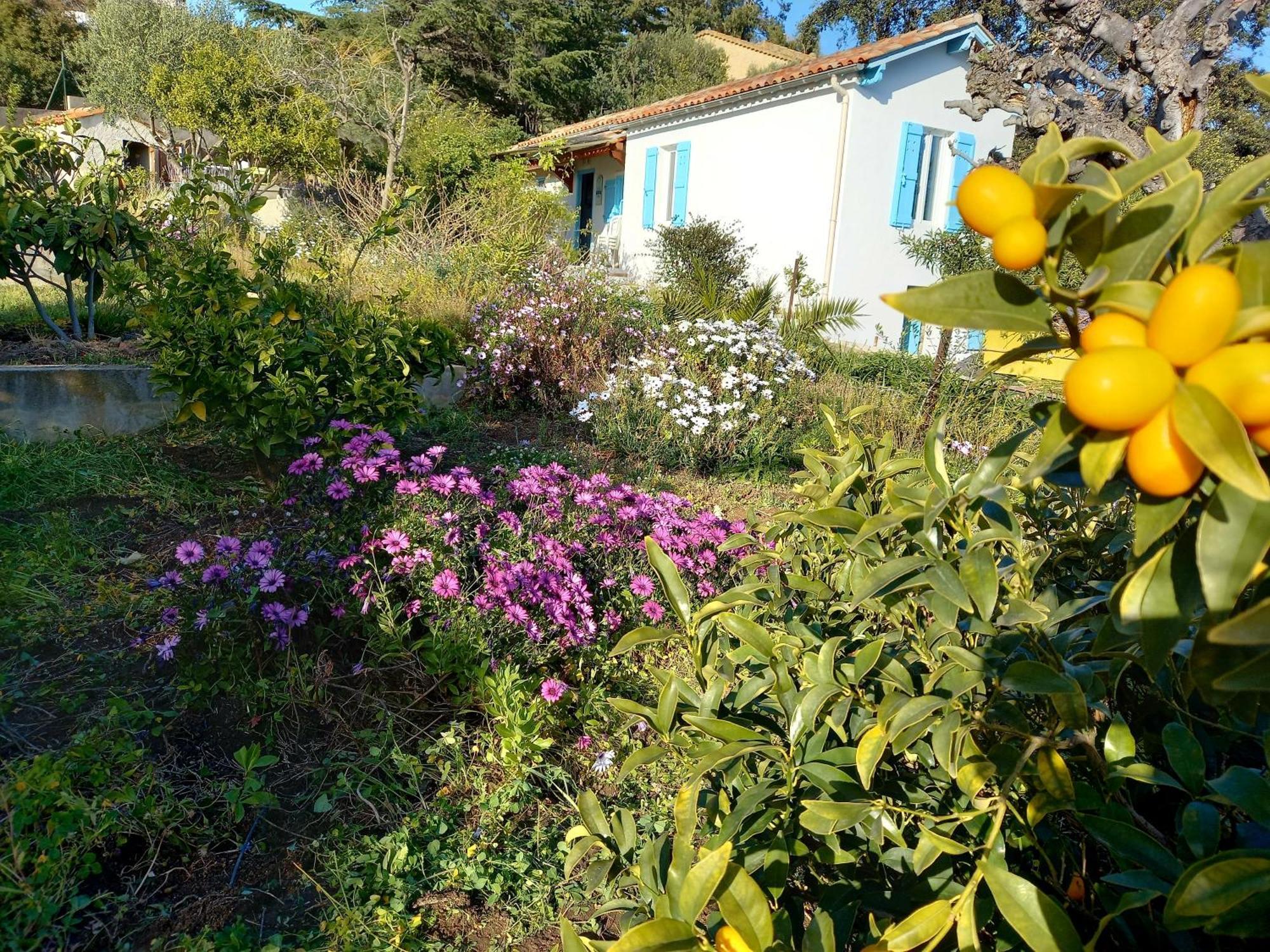 Holiday home Maison 4 Face A La Grand Jardin Ideal Famille Avec Pluri Animaux Saint Clair Le Lavandou